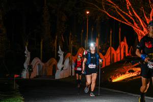 BIB: 6194, 
                            <button type="button" onclick="openModal(22510433)" class="btn btn-primary btn-sm float-right btn-popup" data-toggle="modal" data-target=".modal-high-quality">
                        <i class="fas fa-shopping-cart"></i> Add to Cart
                    </button>
                                            <button type="button" onclick="isThisMe(22510433, true)" class="btn btn-success btn-sm float-right btn-popup btn-isme hidden" data-toggle="tooltip" data-placement="bottom" title="นี่คือรูปของคุณใช่ไหม คลิกที่นี่เพื่อเอาเข้าอัลบั้ม">
                        <i class="fas fa-plus"></i> Add to album
                    </button>
                    <button type="button" onclick="isThisMe(22510433, false)" class="btn btn-warning btn-sm float-right btn-popup btn-isnotme hidden">
                        <i class="fas fa-ban"></i> Remove from album
                    </button>